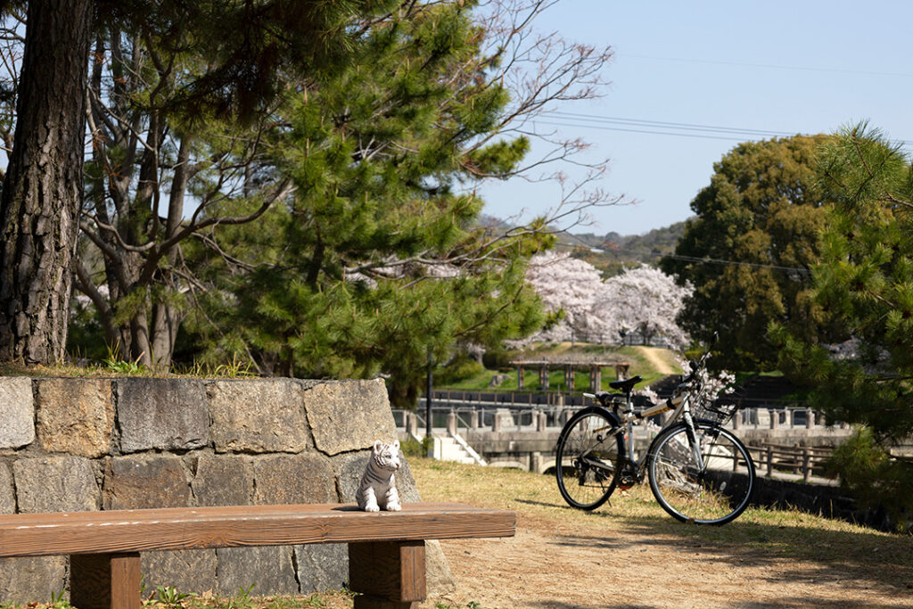 記念碑の広場から見た水門との桜の様子