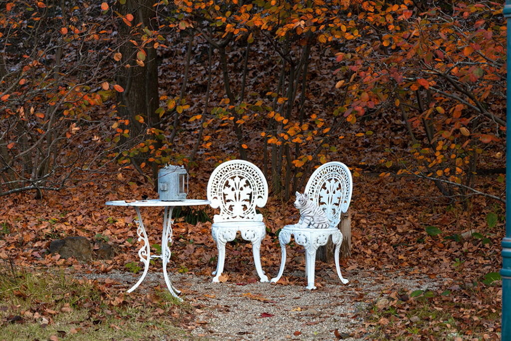 紅葉と白のフロールカフェテーブル